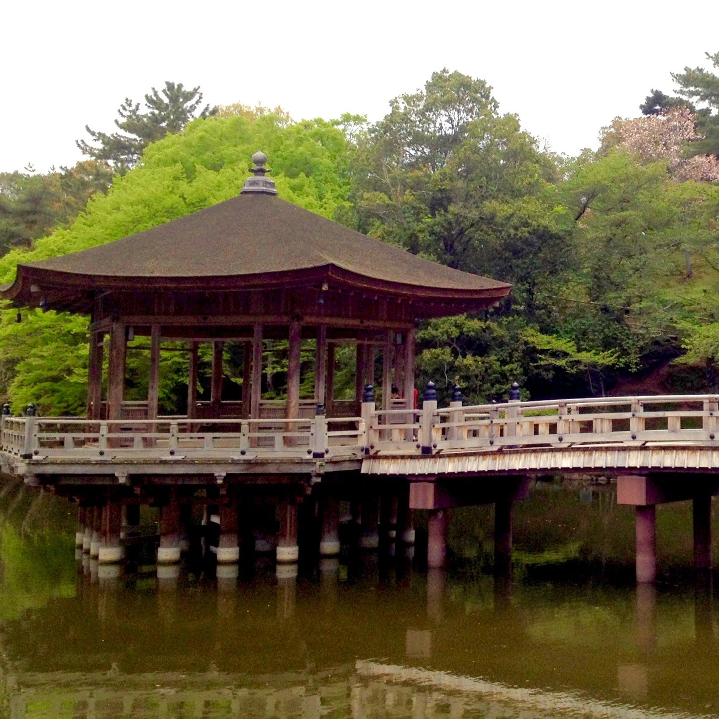 The History of Tea in Japan