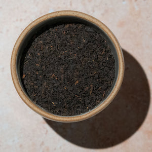 Black Tea