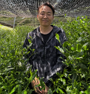 A man wearing a black and gray patterned zip-up jacket stands in a lush green tea plantation under a protective net.