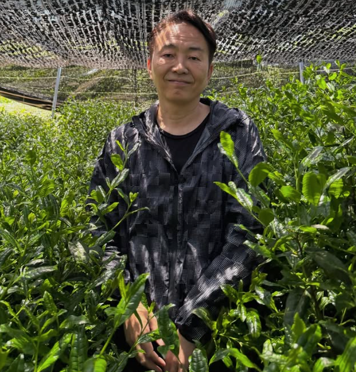 A man wearing a black and gray patterned zip-up jacket stands in a lush green tea plantation under a protective net.