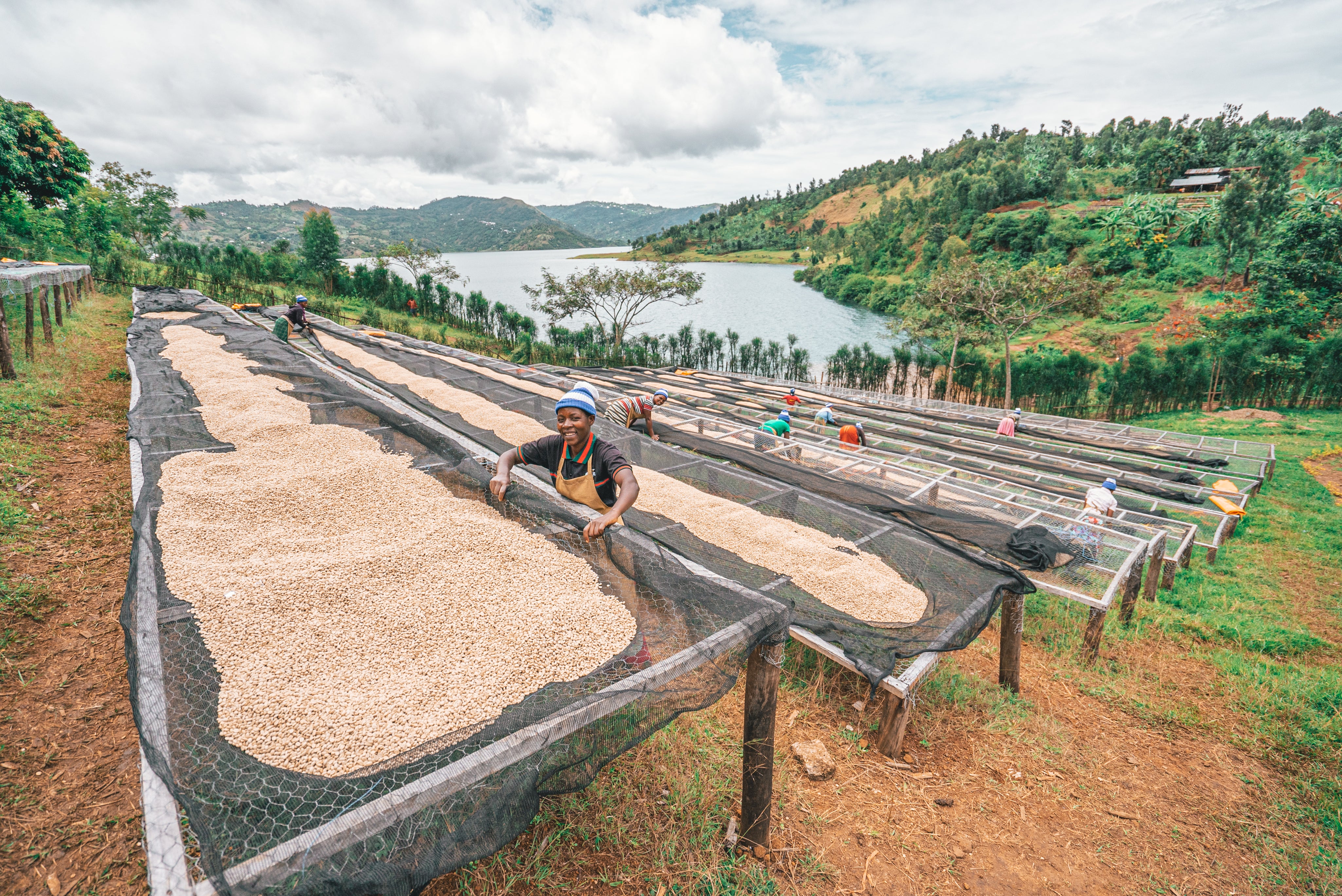 woman smiling and sorting coffee beans
